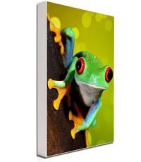 لایت-باکس-فریم-لسنقره-ای-یک-طرفه-4-5سانتی