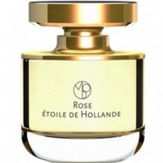 مونا-دی-اوریو-رز-اتویل-د-هلند-MONA-DI-ORIO-Rose-Etoile-de-Hollande