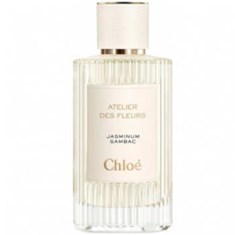 کلوهه-جاسمینوم-سامباک-Chloe-Jasminum-Sambac