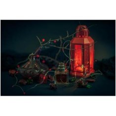 دیفرنت-کمپانی-جاسمین-د-نویت-The-Different-Company-Jasmin-de-Nuit