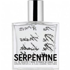 کام-دی-گارکونس-سرپنتاین-COMME-des-GARCONS-Serpentine