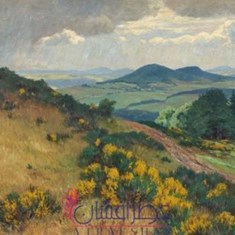 ال-کمیا-پرفیومز-د-وایلد-آتلانتیک-وی-Alkemia-Perfumes-The-Wild-Atlantic-Way