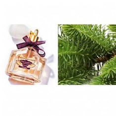 گرلن-پریما-بالرینا-GUERLAIN-Prima-Ballerina
