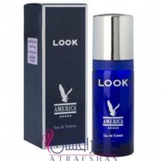 میلتون-لوید-آمریکا-لوک-Milton-Lloyd-America-Look