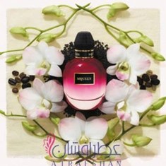 الکساندر-مک-کوئینلومینوس-ارکید-Alexander-McQueen-Luminous-Orchid