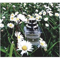 دیفرنت-کمپانی-چرم-ات-فویل-The-Different-Company-Charmes-et-Feuilles