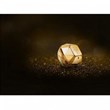 پاکو-رابان-لیدی-میلیون-ابسولوتلی-گلد-paco-rabanne-Lady-Million-Absolutely-Gold