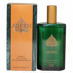 کوتی-اپسن-مردانه-COTY-Aspen-For-Men