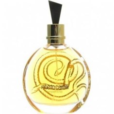 روبرتو-کاوالی-سرپنتاین-roberto-cavalli-Serpentine