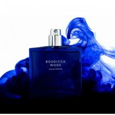 د-بیوتیفول-مایند-سریزبودیکا-وود-The-Beautiful-Mind-Series-Boudicca-Wode