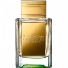 ارمنگیلدو-زگنا-استرنگت-Ermenegildo-Zegna-Strength