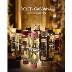 دولچه-گابانا-ولوت-آمبر-اسکین-DOLCE-GABBANA-Velvet-Amber-Skin