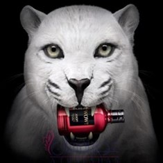 جوپ-واو-زنانه-JOOP-WowJoop-for-Women