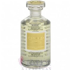 کرید-آمبر-کنل-CREED-Ambre-Cannelle