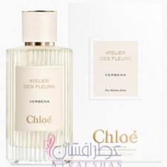 کلوهه-وربنا-Chloe-Verbena
