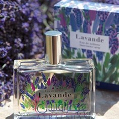 فراگونارد-لواندلوندFragonard-Lavande