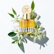 کارولینا-هررا-بلوسوم-الکسیر-CAROLINA-HERRERA-Blossom-Elixir