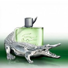 لاگوست-اسنشیال-کالکتور-ادیشن-LACOSTE-Essential-Collector-Edition