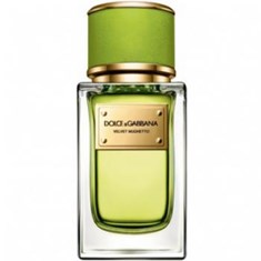 دولچه-گابانا-ولوت-موگتو-DOLCE-GABBANA-Velvet-Mughetto