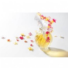 نینا-ریچی-له-ایر-دو-تمپز-کوتور-فلورال-NINA-RICCI-L-Air-du-Temps-Couture-Florale
