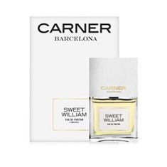 کارنر-بارسلونا-سویت-ویلیام-سوییت-ویلیام-CARNER-BARCELONA-Sweet-William