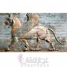 الیکسیر-عطار-اسپریت-آف-پرشیا-Elixir-attar-Spirit-Of-Persia