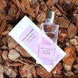 آنجل-شلیسر-او-فرش-پینیا-رز-ANGEL-SCHLESSER-Eau-Fraiche-Peonia-Rose