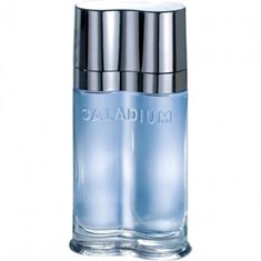 ایو-د-سیستل-کالادیوم-Yves-de-Sistelle-Caladium