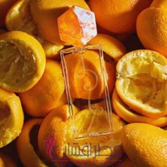 رویک-ورسچیل-RUIK-VERSCHIL