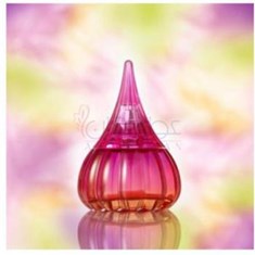 ایو-د-سیستل-شیدا-رز-Yves-de-Sistelle-Sheyda-Rose