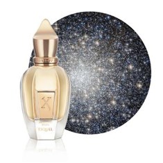 زرجوف-اسکولERJOFF-Esquel