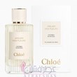 کلوهه-هربا-میموسا-Chloe-Herba-Mimosa
