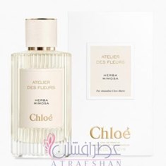 کلوهه-هربا-میموسا-Chloe-Herba-Mimosa