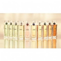 رالف-لورن-ریویرا-دریم-لایم-RALPH-LAUREN-Riviera-Dream-Lime