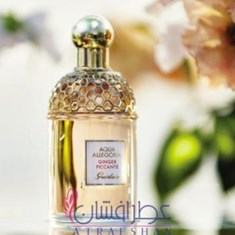 گرلن-آکوا-آلگوریا-جینجر-پیکانتهپیکانتیGUERLAIN-Aqua-Allegoria-Ginger-Piccante
