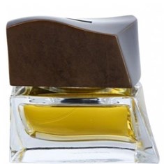 بریونی-بریونی-ادو-تویلت-Brioni-Brioni-EDT