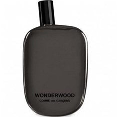 کام-دی-کارگونسواندر-وود-COMME-des-GARCONS-Wonderwood