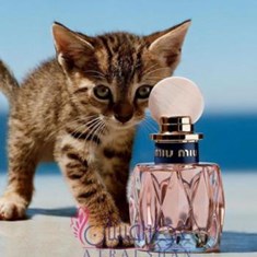 میو-میو-لئو-رزی-Miu-Miu-Miu-Miu-L-Eau-Ros-e