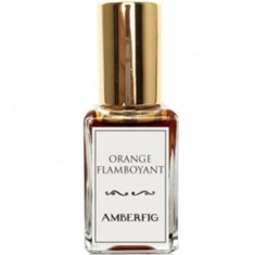 امبرفیگ-اورنج-فلامبویانت-Amberfig-Orange-Flamboyant