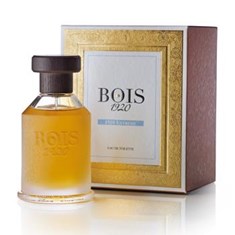 بویس-1920-اکستریم-1920-BOIS-1920-Extreme-1920