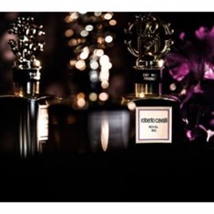 روبرتو-کاوالی-رویال-ایریس-roberto-cavalli-Royal-Iris