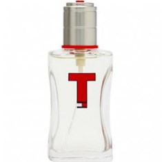 تامی-هیلفیگر-تی-TOMMY-HILFIGER-Tommy-Hilfiger-T