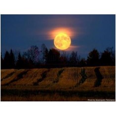 دوسیتا-مون-لایت-این-چیانگامی-Parfums-Dusita-Moonlight-In-Chiangmai
