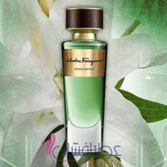سالواتوره-فراگامو-ریناشیمنتوریناچیمنتو-Salvatore-Ferragamo-Rinascimento