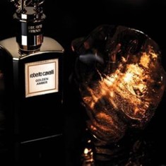 روبرتو-کاوالی-گلدن-آمبر-roberto-cavalli-Golden-Amber