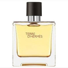 تق-هرمس-پرفیوم-تغ-دی-هغمس-پارفوم-Hermes-Terre-d-Hermes-Parfum