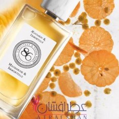 لوکسیتان-ان-پروونس-ماندارین-اند-ایمورتل-L-Occitane-en-Provence-Mandarine-Immortelle
