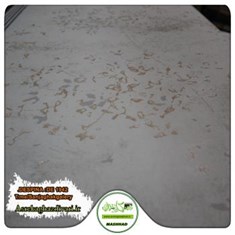 کاغذ-دیواری-آلبوم-دسپینا-DESPINA-طرح-پتینه-کد-1942