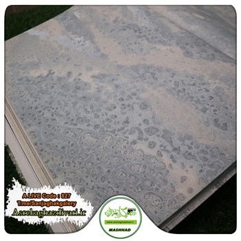 کاغذدیواری-طرح-مدرن-آلبوم-الایو-alive-کد-827