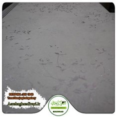 کاغذ-دیواری-آلبوم-دسپسنا-DESPINA-طرح-پتینه-کد-1940